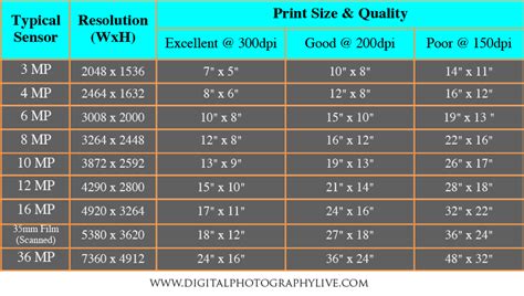 Megapixels Vs Print Size How Big Can You Print Digital