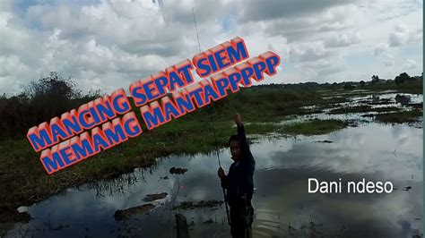 Mancing Disini Ikannya Ga Habis Habis Bro Youtube