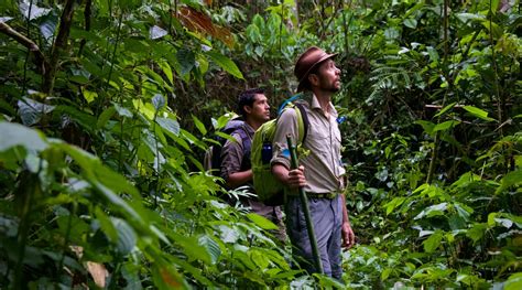 Amazon Rainforest Tours By Andean Great Treks Amazon Rainforest Tours