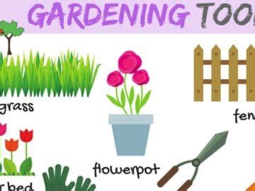 In The Garden Vocabulary ESLBuzz Learning English