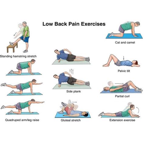 Core Exercises For Back Pain Sufferers Exercise Poster