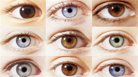1001 Ideen Für Augenfarbe Bedeutung Charakteristiken Eye Color Chart