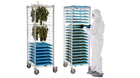 Cannabis Drying Trays Racks Metro Cannabis M A N O X B L O G