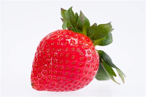 Single Fruit Of Red Strawberry Isolated On White Background Stock Photo