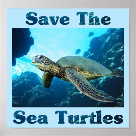 Save The Turtles Lessons Blendspace