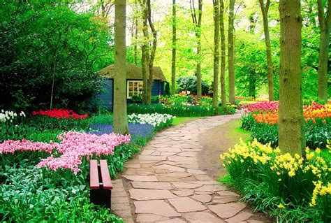 Most Beautiful Spring Parks 1920 X 1080 Submitted By