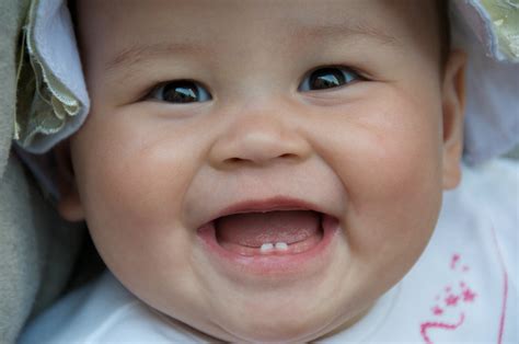 Teething What You Should Know About Babys First Tooth Facts And Myths