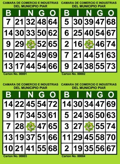 Cartones De Bingo Para Imprimir Pdf 2000 Cartones 500 H Mercadolibre