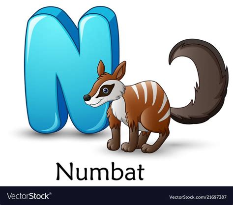 Dental hygienist ali lowe discusses the signs and symptoms of lip c. illustration of Letter N is for Numbat cartoon alphabet ...