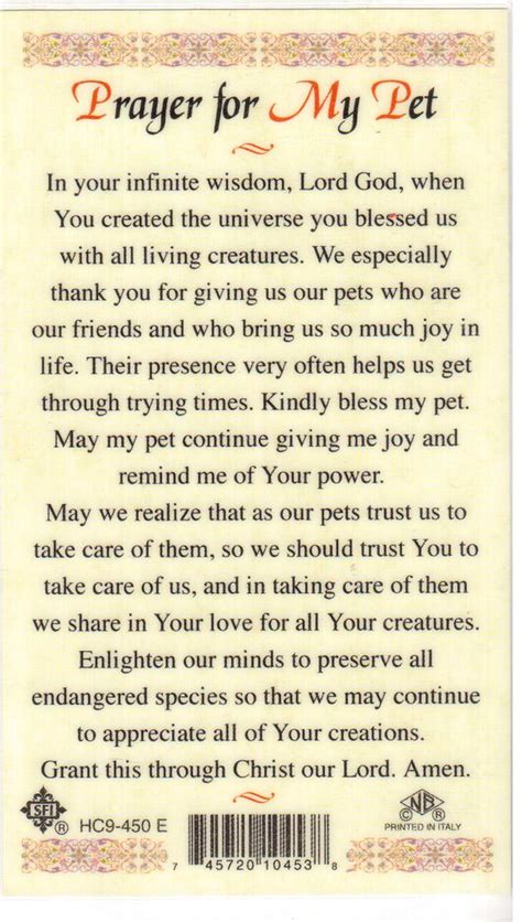 You can use this prayer to pray for your sick cat, dog, fish, lizard, hamster, snake or any other animal that is near to your heart. Prayer for My Pet -1 | Found this in a local Catholic ...