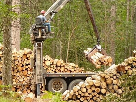 Logging Getting The Wood Out News Sports Jobs Daily Press