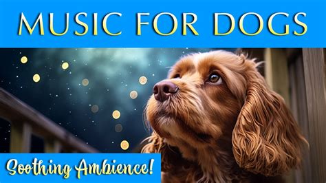 Soothing Dog Music 🐶 Gentle Ambience For Peaceful Pups Youtube