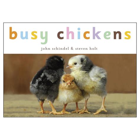 Busy Animals Board Books Set Of 4