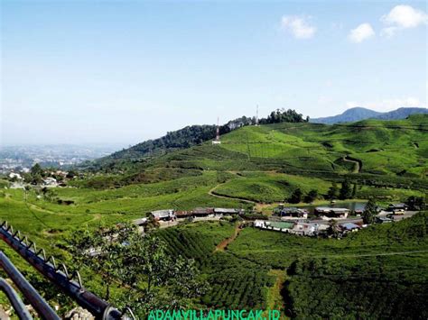 Daftar Harga Sewa Villa Di Puncak Bogor, Jawa barat ⋆ Adam Villa Puncak