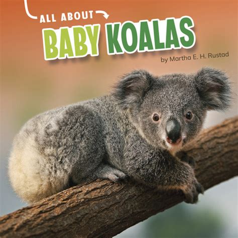 Book Farm Llc Nonfiction Books All About Baby Koalas 22