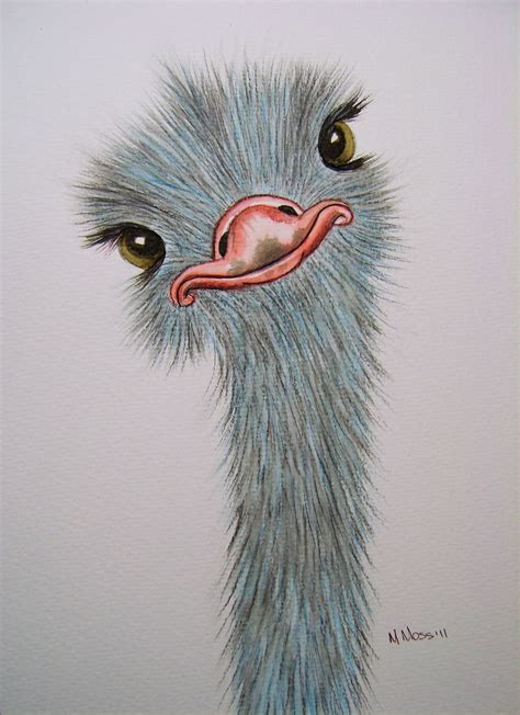 Silly Ostrich Watercolour Drawings Animal Art Animal Drawings