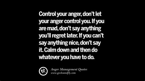 41 Quotes On Anger Management Controlling Anger And Relieving Stress