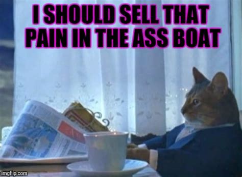 I Should Buy A Boat Cat Meme Imgflip
