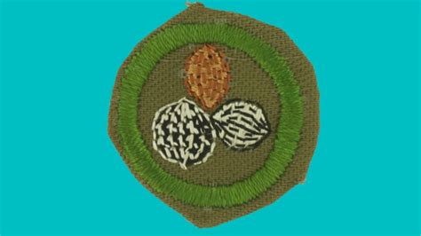 Discontinued Babe Scout Merit Badges Mental Floss
