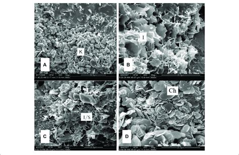 Sem Images Of Clay Minerals A Kaolinite B Illite C Illite