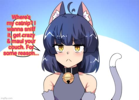 Aggregate More Than 75 Anime Cat Girl Meme Vn