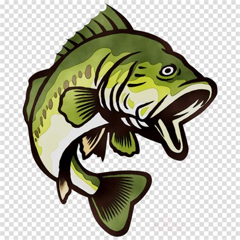 Download High Quality Clipart Fish Bass Transparent Png Images Art