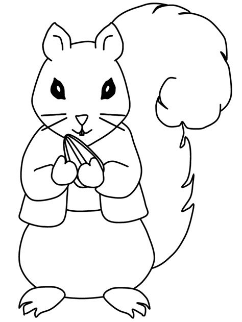 Download Squirrel Coloring Pages - GetColoringPages.com