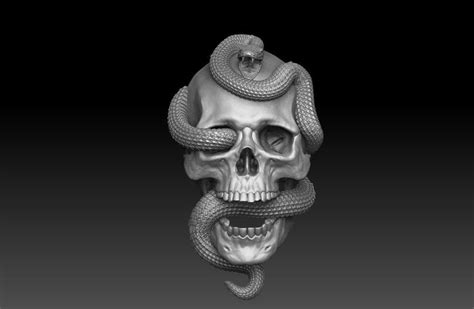 Skull With Snake Bas Relief Cnc 3d Print Model 3d Print