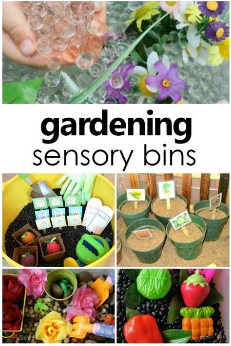 Zinnia's flower garden by monica wellington bold and colorful images illustrate how zinnia plants her flower garden. Gardening Sensory Bins | Sensory bins, Diy garden projects ...