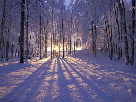 Hd Winter Wallpapers 4k Hd Winter Backgrounds On Wallpaperbat