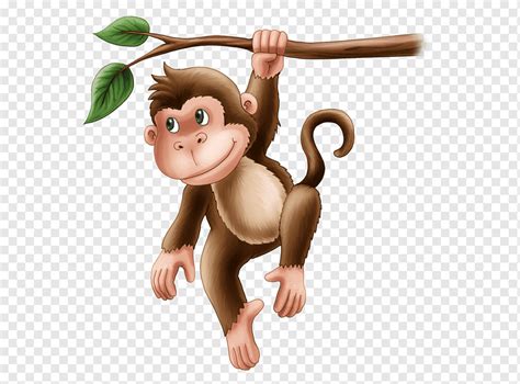 Kartun Animasi Primata Carnivora Animal Hewan Monyet Binatang