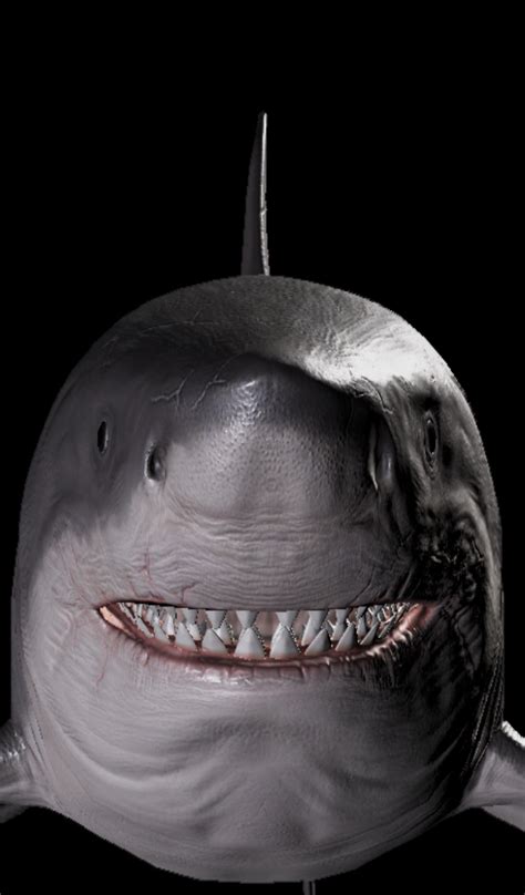 Great White Shark Prank Callukappstore For Android