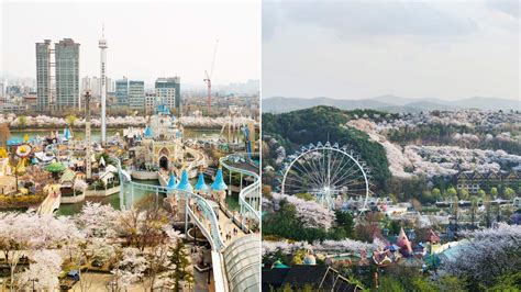 Everland theme park is the biggest thme park in south korea. Lotte World or Everland? Which Korea Theme Park Should You ...