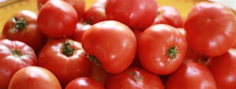 Guide To Growing Organic Tomatoes Espoma