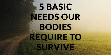 5 Basic Needs Our Bodies Require To Survive Cubic Education Aid