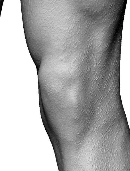 3d Model Body Scan Athletic Male
