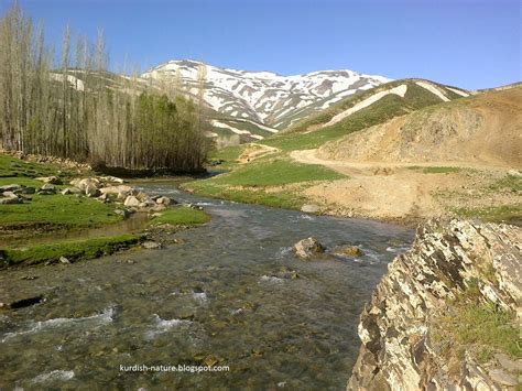 Nature Kurdistan Kurdistan Baneh Xafurede Spring