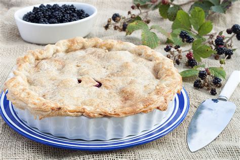 Traditional Homemade Blackberry And Apple Pie Recipe Cookbakeeat