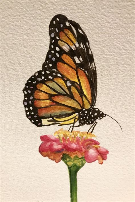 Monarch Butterfly Watercolor