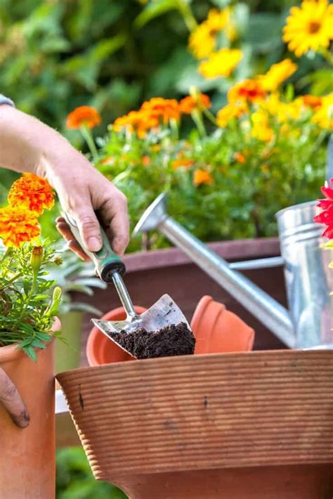 10 Ways To Get Your Gardens Ready For Spring The Farm Girl Gabs
