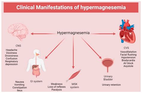 Medicina Free Full Text Hypermagnesemia In Clinical Practice