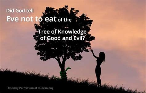 Did God Tell Eve Not To Eat Of The Tree Of Knowledge Of Good And Evil