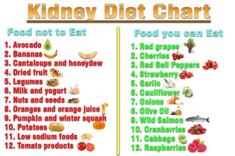 15 Best Foods For Kidney Repair Healthy Kidney Tips Just Credible