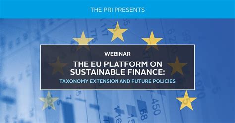 The Eu Platform On Sustainable Finance Taxonomy Extension And Future