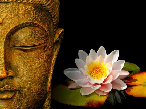 Thailand Buddha Wallpapers Top Free Thailand Buddha Backgrounds