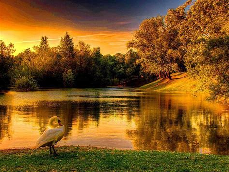 Beautiful Peaceful With Images Scenery Photos Lake Scenery