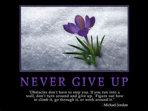 Jan 16, 2015 · enjoy these 101 stay strong quotes that will inspire you to never give up on your dreams. Never Give Up Funny Quotes. QuotesGram