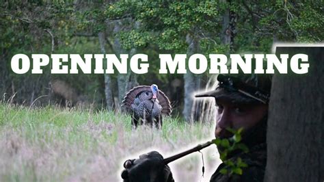 A PERFECT Opening Morning FOUR GOBBLERS WITHIN 80 YARDS YouTube