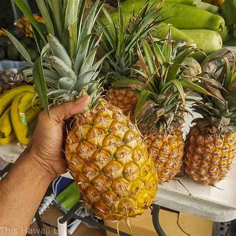 Ripe Pineapples This Hawaii Life