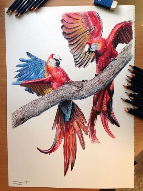 Colour Pencil Animal Drawings Pencildrawing2019